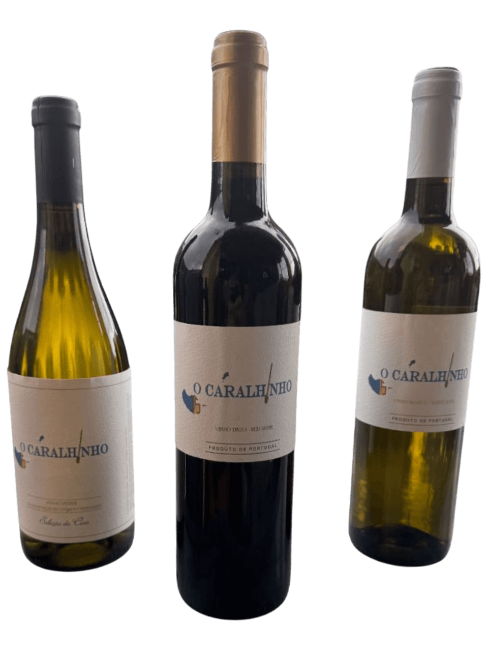 Wines Section Image